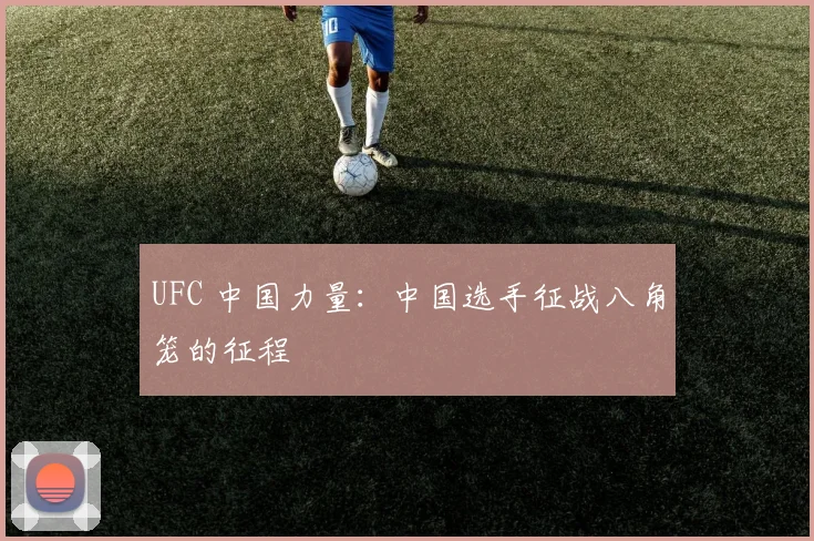 UFC 中国力量：中国选手征战八角笼的征程