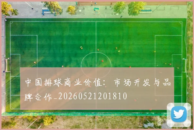 中国排球商业价值:市场开发与品牌合作_20260521201810